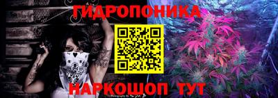 спиды Малгобек