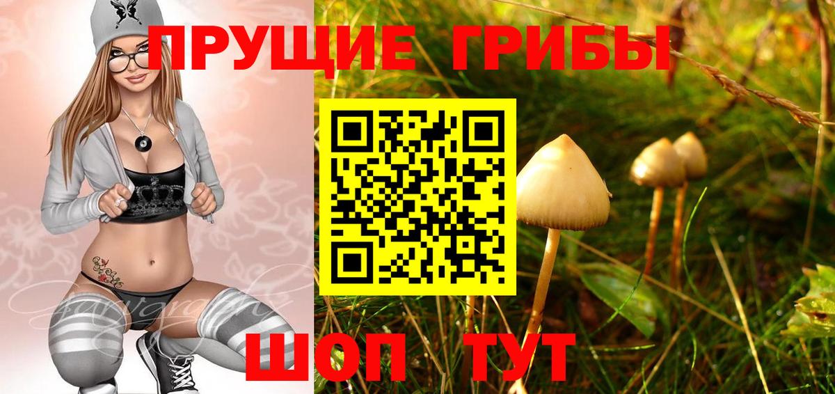Псилоцибиновые грибы мухоморы  где купить наркоту  Шадринск  Вход с VPN 